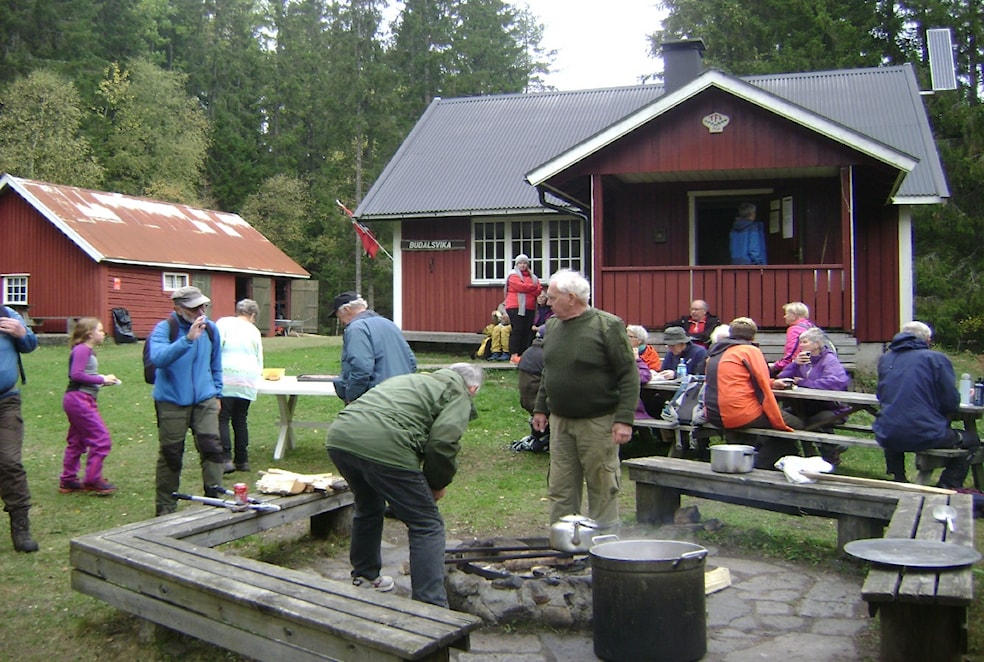 Til Budalsvika